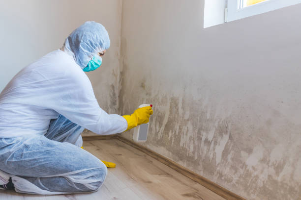 Best Crawl Space Mold Removal  in New London, TX