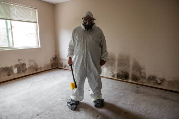 Best Mold Remediation Services  in New London, TX