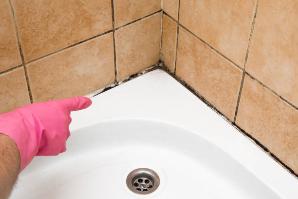 Best Mold Removal Process  in New London, TX